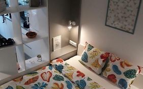 Cozy Central Studio